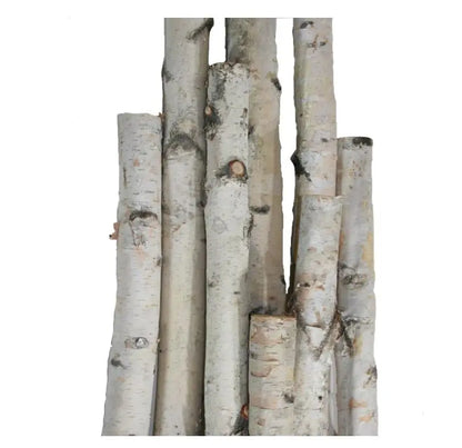 White Birch Pole